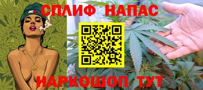 прущие грибы Партизанск