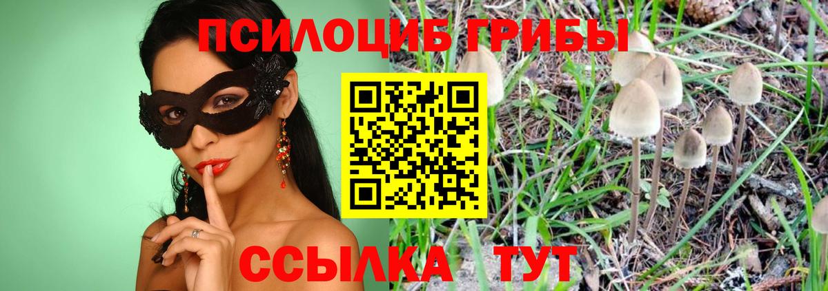 Псилоцибиновые грибы мицелий  Вход с VPN  Октябрьский 